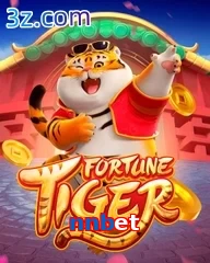nnbet