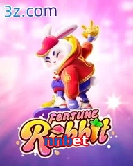 nnbet