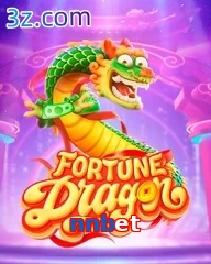 nnbet